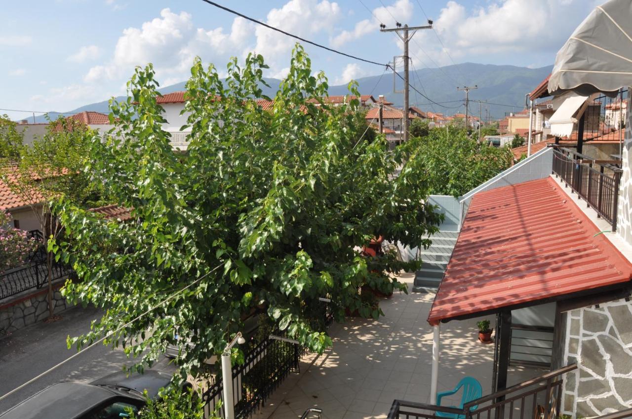 Villa Sofia Nea Vrasna Bagian luar foto